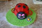Small ladybird cake
